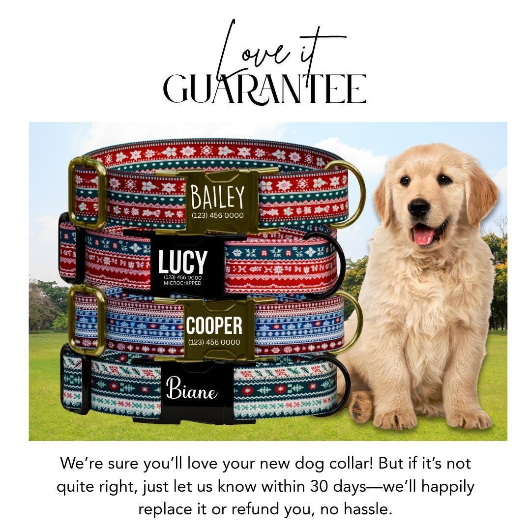 Personalized Ugly Christmas Dog Collar with Name Engraved Custom Holiday Name Tag Adjustable Collar & Leash Set Festive Dog Leash (OG-224)