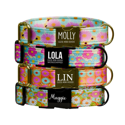 Personalized Groovy Garden Dog Collar for Girls with Name Engraved Retro Floral Name ID Adjustable Collar & Leash Set Gift for Dog (OG-258)