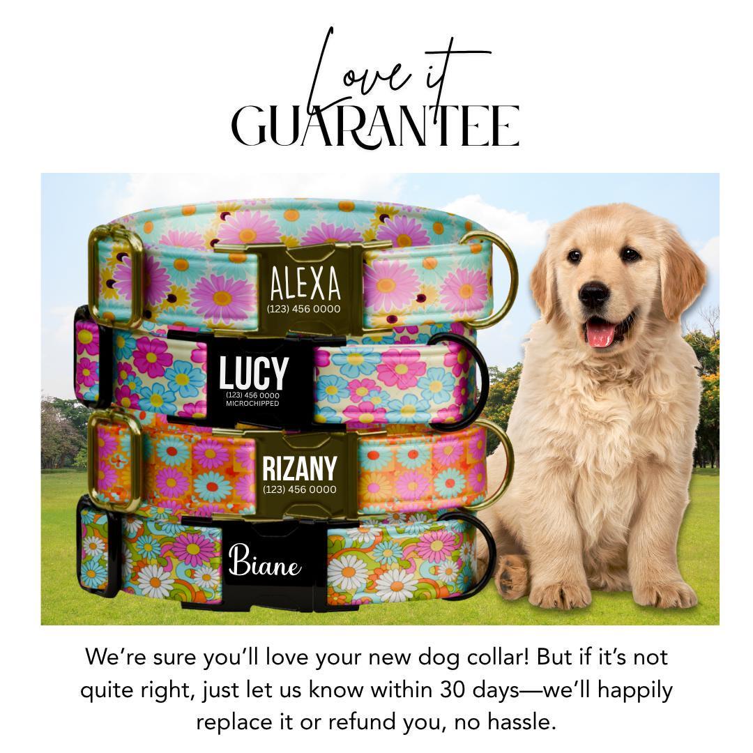 Personalized Groovy Garden Dog Collar for Girls with Name Engraved Retro Floral Name ID Adjustable Collar & Leash Set Gift for Dog (OG-258)