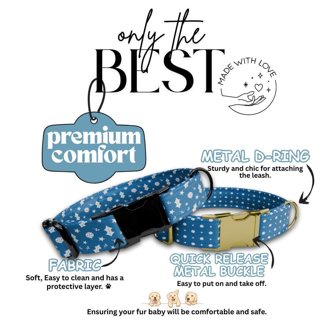 Personalized Blue Winter Dog Collar with Name Engraved Custom Name Tag Adjustable Collar & Leash Set Christmas Snow Dog Leash Gift (OG-226)