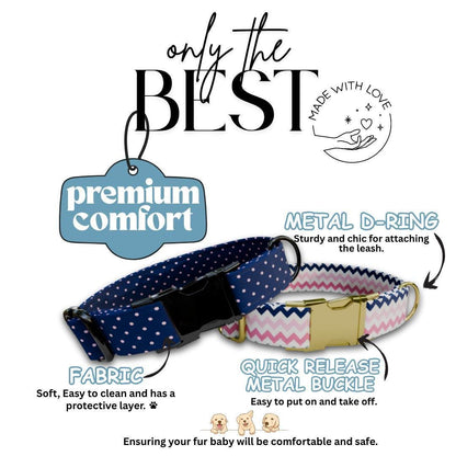 Personalized Plaid Argyle Polka Dot Chevron Patterns for Girls with Name Engraved Adjustable Dog Collar & Leash Set Gift for Dog (OG-259)