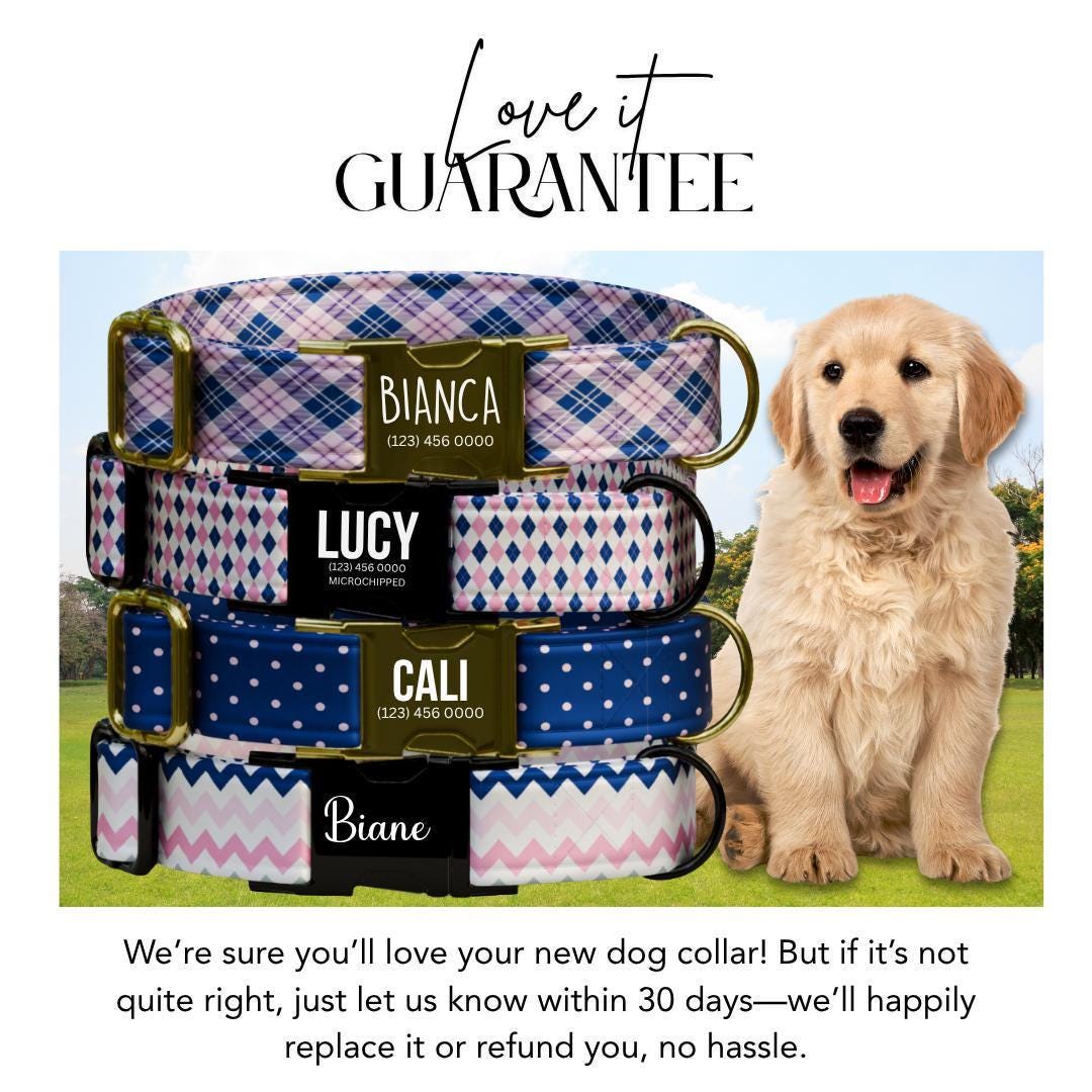Personalized Plaid Argyle Polka Dot Chevron Patterns for Girls with Name Engraved Adjustable Dog Collar & Leash Set Gift for Dog (OG-259)