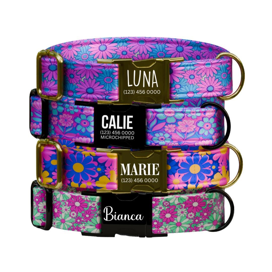 Personalized Floral Dog Collar for Girls with Name Engraved Cute Bright Flower Name ID Adjustable Collar & Leash Set Gift for Dog (OG-260)