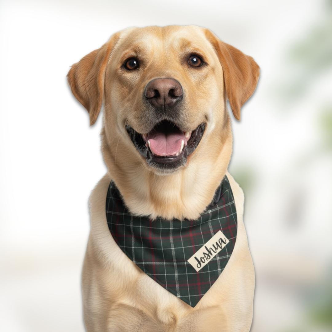 Personalized Red Green Christmas Plaid Pet Bandana Built-In Adjustable Collar for Dogs & Cats Custom Name Pet Bandana Gift for Pet Lovers