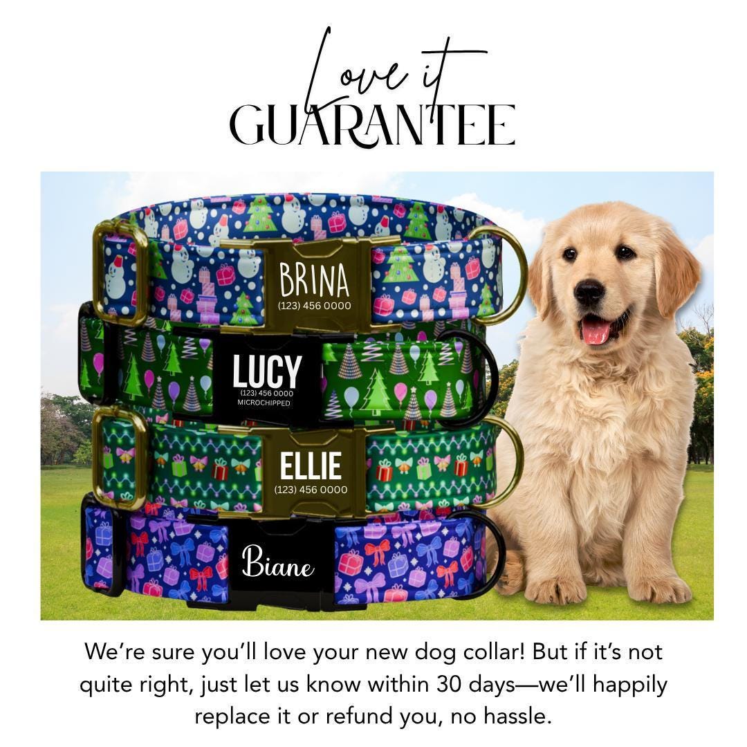 Personalized Christmas Dog Collar Custom Name Tag Neon Xmas Holiday Dog Collar with Metal Buckle & Adjustable Fit Christmas Dog Tag (OG-287)