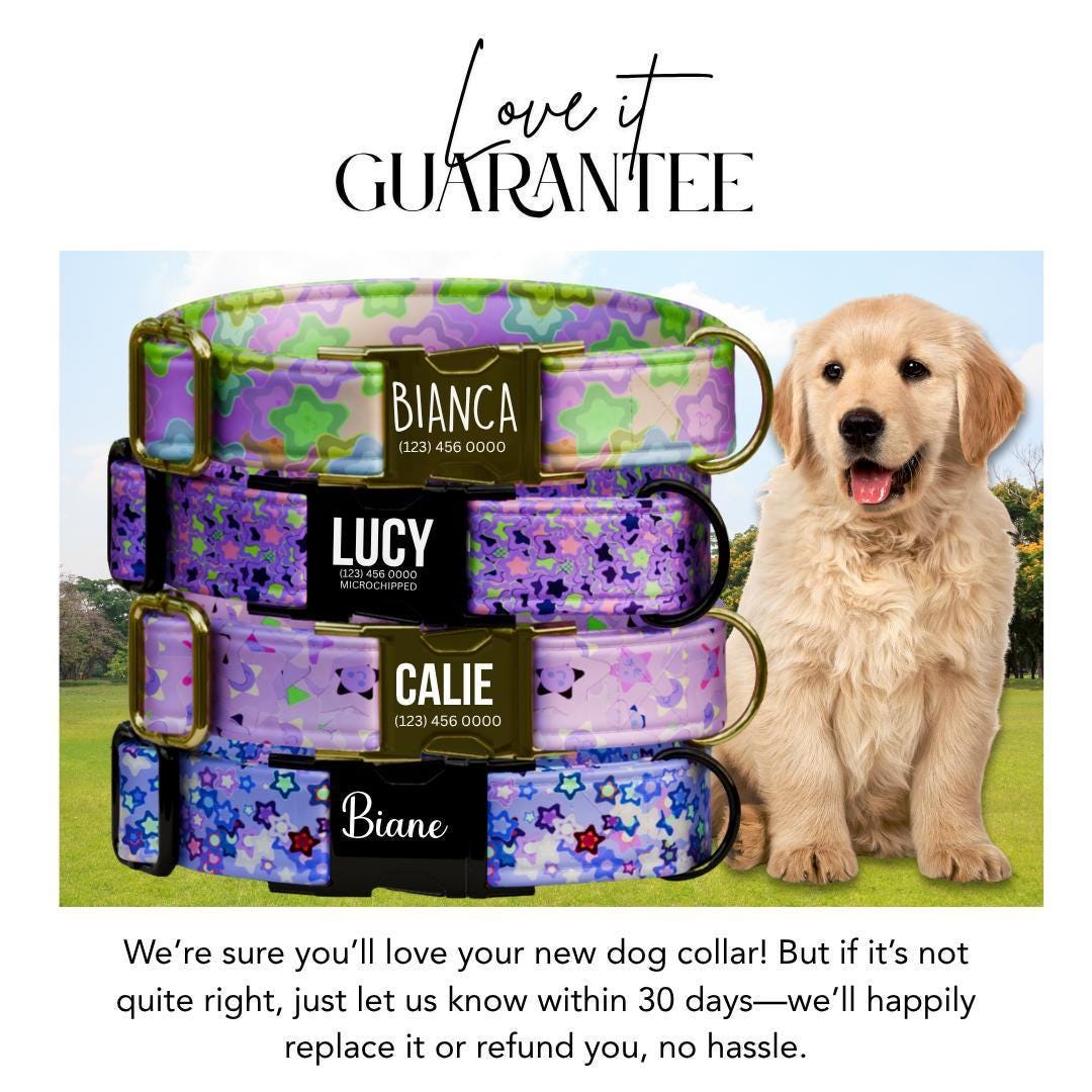 Personalized Magical Starburst Dog Collar Custom Name Tag Cute Star Design Dog Collar with Metal Buckle & Adjustable Fit Dog ID Tag (OG-290)