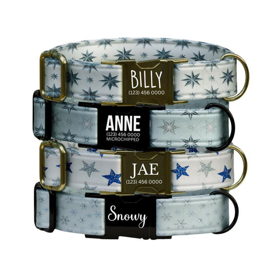 Personalized Winter Dog Collar Custom Name Tag Snowflake Holiday Dog Collar with Metal Buckle & Adjustable Fit Christmas Dog Tag (OG-285)