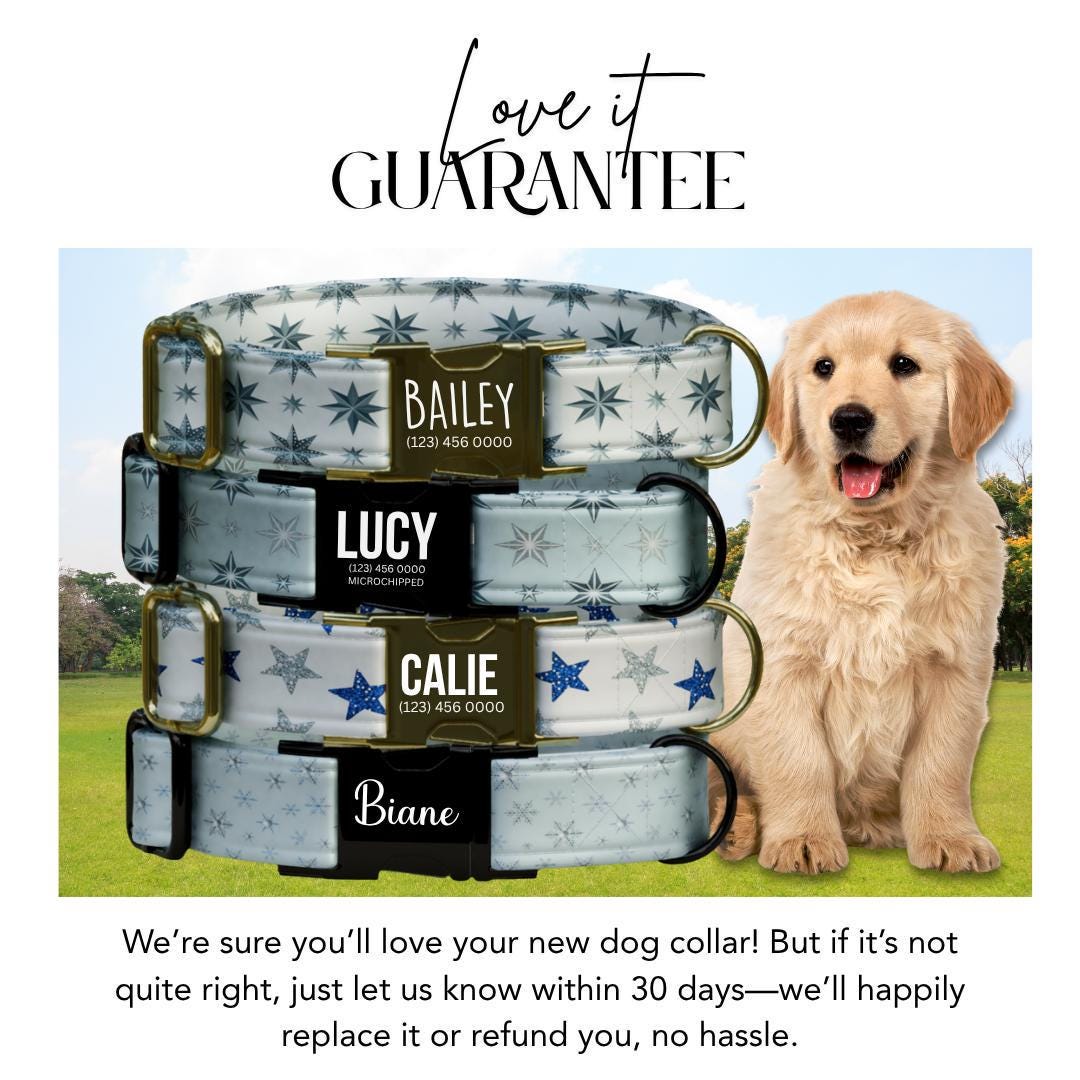 Personalized Winter Dog Collar Custom Name Tag Snowflake Holiday Dog Collar with Metal Buckle & Adjustable Fit Christmas Dog Tag (OG-285)