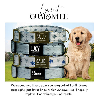 Personalized Winter Dog Collar Custom Name Tag Snowflake Holiday Dog Collar with Metal Buckle & Adjustable Fit Christmas Dog Tag (OG-285)