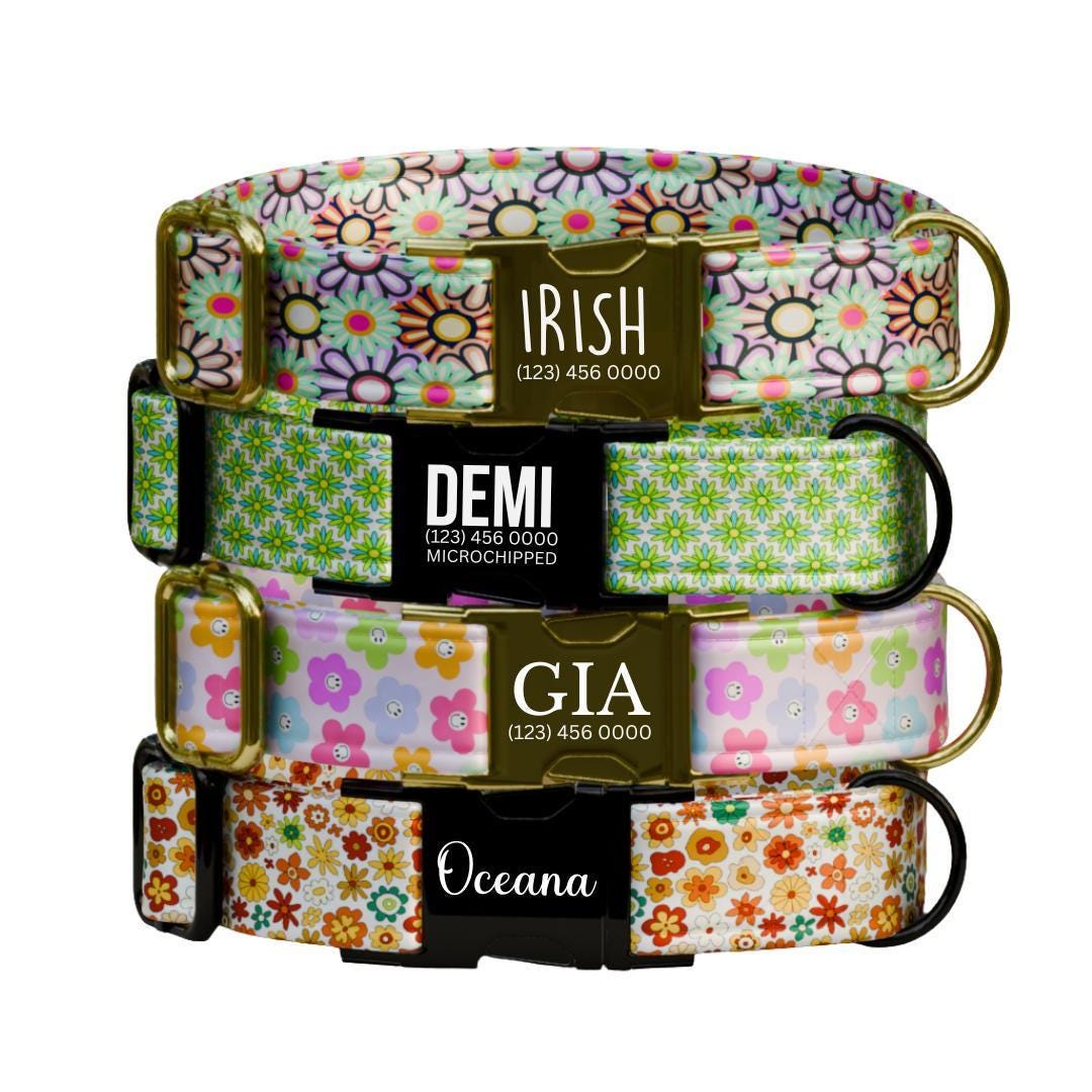 Personalized Floral Dog Collar for Girls with Name Engraved Cute Bright Flower Name ID Adjustable Collar & Leash Set Gift for Dog (OG-276)