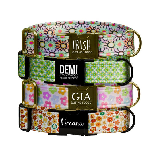 Personalized Floral Dog Collar for Girls with Name Engraved Cute Bright Flower Name ID Adjustable Collar & Leash Set Gift for Dog (OG-276)