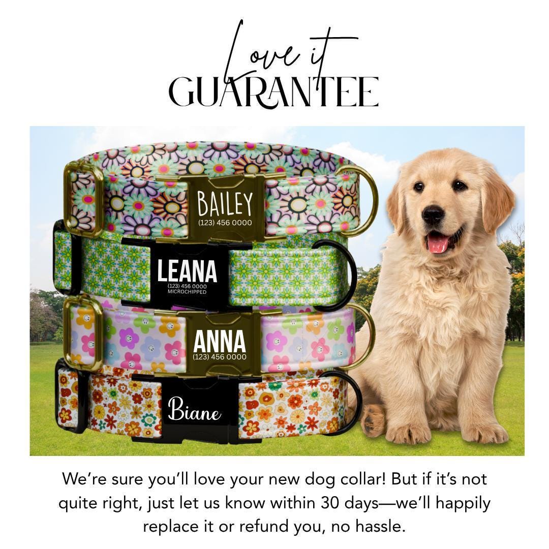 Personalized Floral Dog Collar for Girls with Name Engraved Cute Bright Flower Name ID Adjustable Collar & Leash Set Gift for Dog (OG-276)