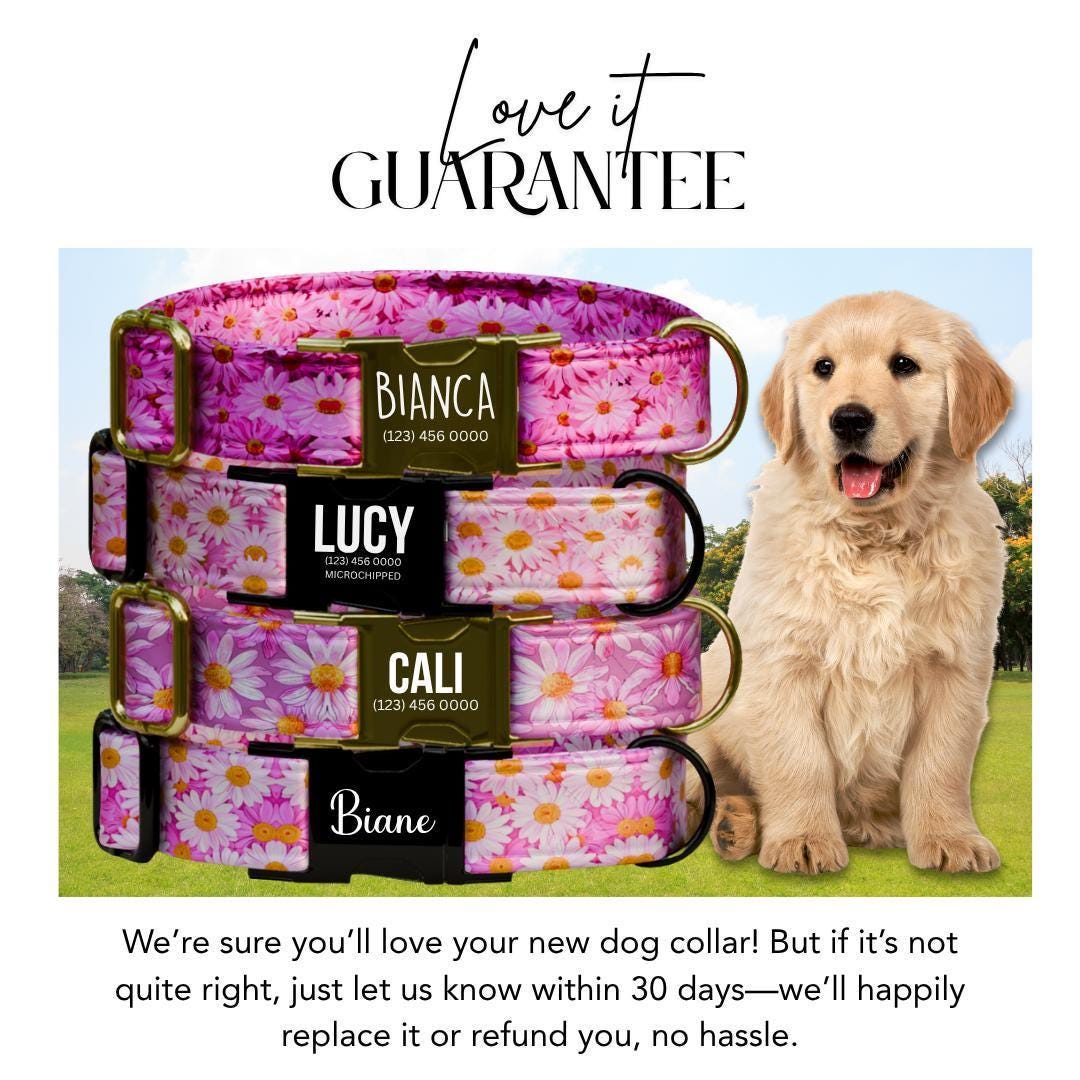 Personalized Pink Daisy Dog Collar for Girls with Name Engraved Cute and Soft Floral Adjustable Collar & Leash Set Flower Dog Gift (OG-278)
