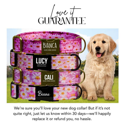 Personalized Pink Daisy Dog Collar for Girls with Name Engraved Cute and Soft Floral Adjustable Collar & Leash Set Flower Dog Gift (OG-278)