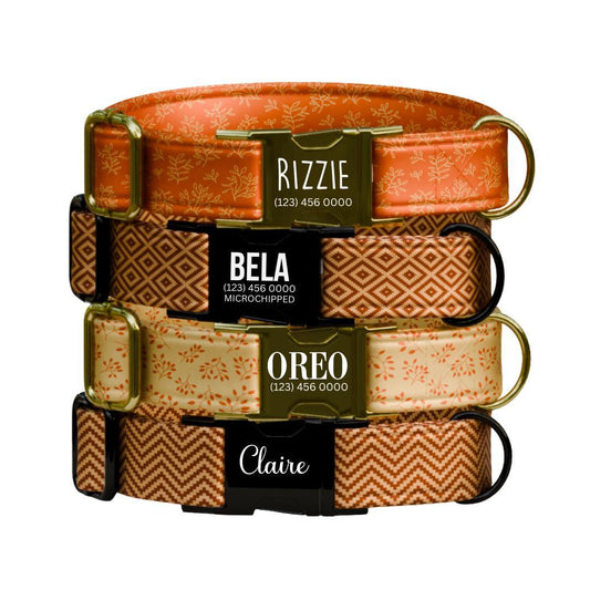 Personalized Fall Dog Collar Custom Name Tag Autumn Pattern Dog Collar with Metal Buckle & Adjustable Fit Cute Fall Autumn Dog Tag (OG-242)