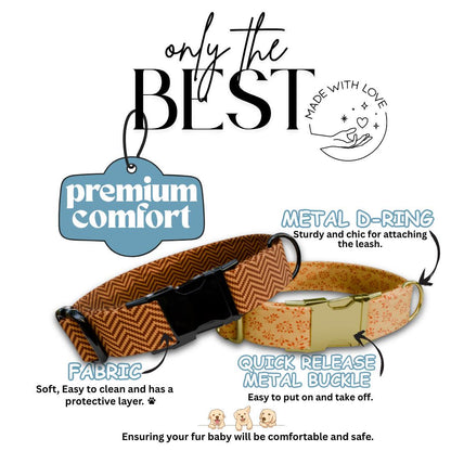 Personalized Fall Dog Collar Custom Name Tag Autumn Pattern Dog Collar with Metal Buckle & Adjustable Fit Cute Fall Autumn Dog Tag (OG-242)