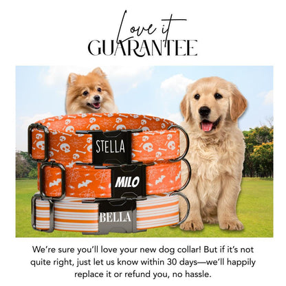 Personalized Spooky-Cute Halloween Dog Collar with Name Engraved Cute and Soft Adjustable Collar & Leash Set, Pet ID Tag Dog Gift (OG-138)