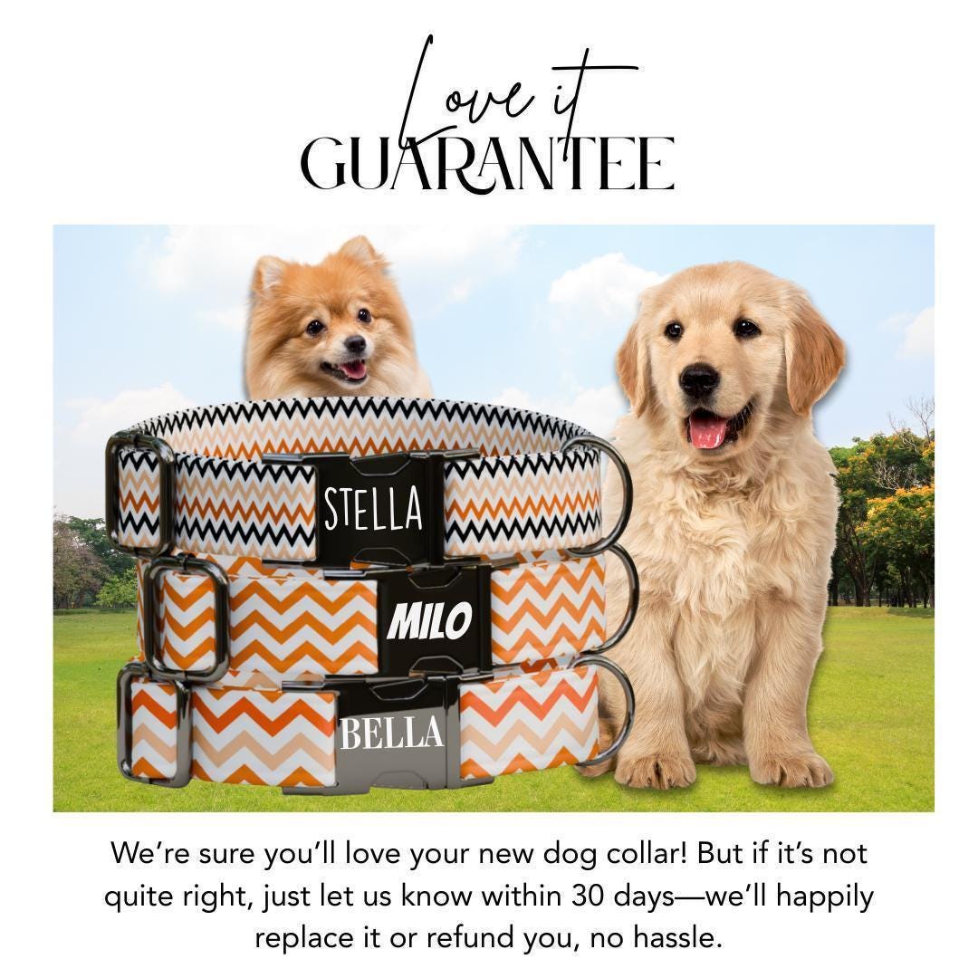 Personalized Chevron Halloween Dog Collar with Name Engraved Cute and Soft Adjustable Collar & Leash Set, Spooky ID Tag Dog Gift (OG-135)