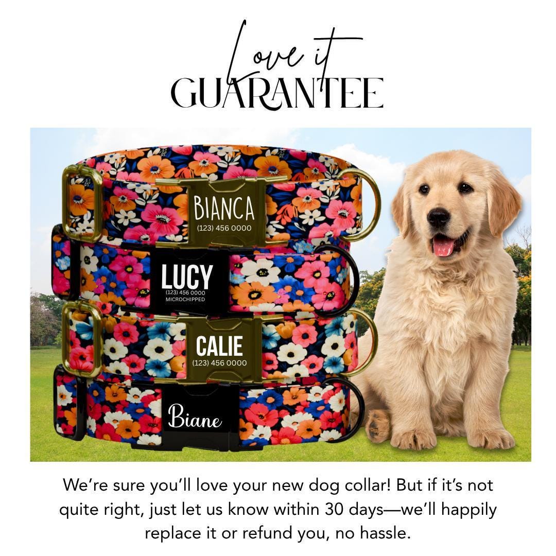 Personalized Bright Floral Dog Collar for Girls with Name Engraved Cute Flower Name ID Adjustable Collar & Leash Set Gift for Dogs (OG-203)