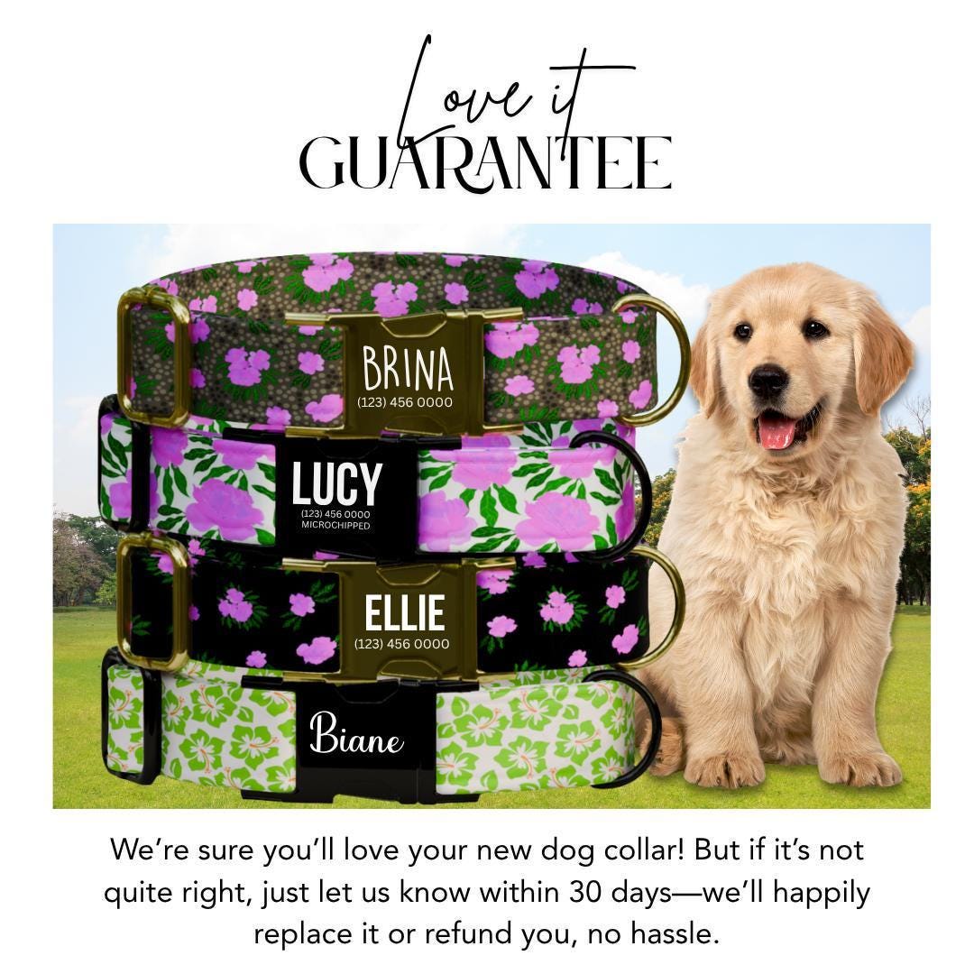 Personalized Floral Dog Collar for Girls with Name Engraved Cute and Soft Tropical Leaf Adjustable Collar & Leash Set Gift for Dog (OG-201)