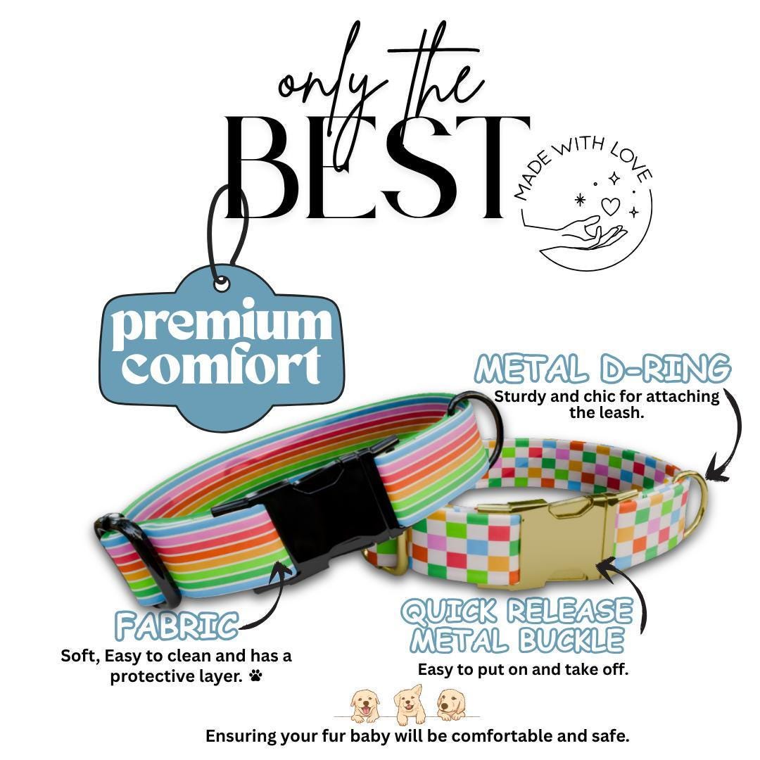 Personalized Rainbow Dog Collar with Name Engraved Custom Name Dog Tag Fun Prints Durable Metal Buckle & D-Ring Cute Gift for Dogs (OG-264)