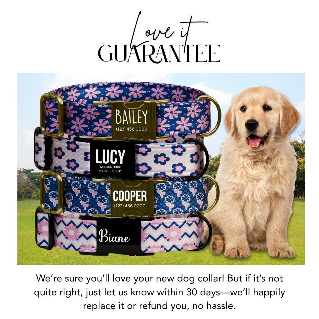 Personalized Floral Dog Collar for Girls with Name Engraved Cute Bright Flower Name ID Adjustable Collar & Leash Set Gift for Dog (OG-255)