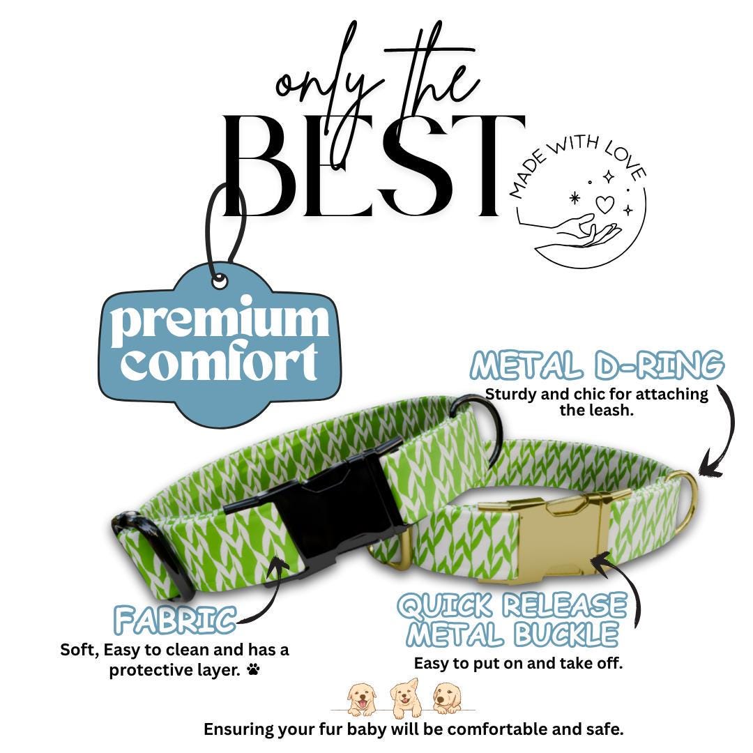 Personalized Green Dog Collar with Name Engraved Modern Nature-Inspired ID Adjustable Collar & Leash Set Trendy Green Gift for Dogs (OG-252)