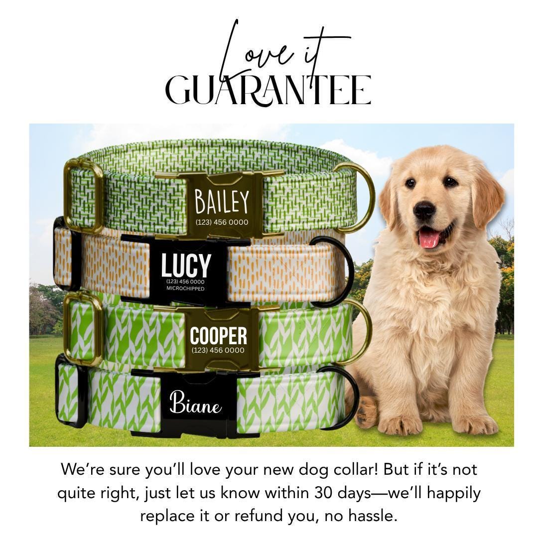 Personalized Green Dog Collar with Name Engraved Modern Nature-Inspired ID Adjustable Collar & Leash Set Trendy Green Gift for Dogs (OG-252)