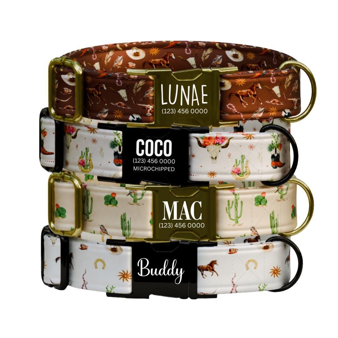 Personalized Western Dog Collar Custom Name Tag Cute Cowboy Style Dog Collar with Metal Buckle & Adjustable Fit Western Dog ID Tag (OG-245)