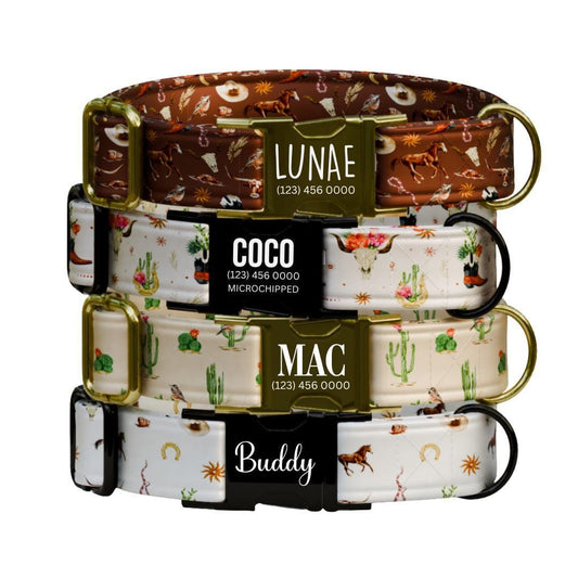 Personalized Western Dog Collar Custom Name Tag Cute Cowboy Style Dog Collar with Metal Buckle & Adjustable Fit Western Dog ID Tag (OG-245)