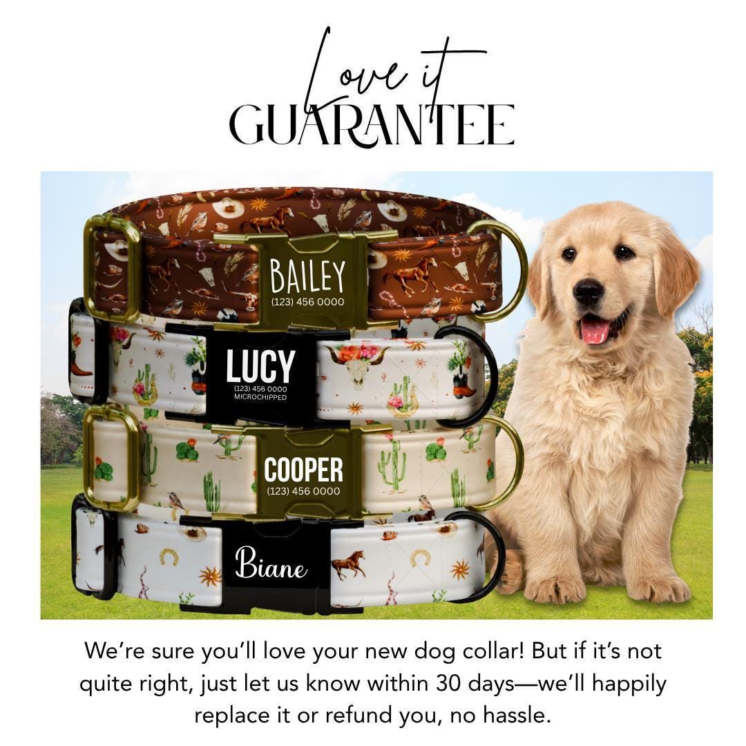 Personalized Western Dog Collar Custom Name Tag Cute Cowboy Style Dog Collar with Metal Buckle & Adjustable Fit Western Dog ID Tag (OG-245)