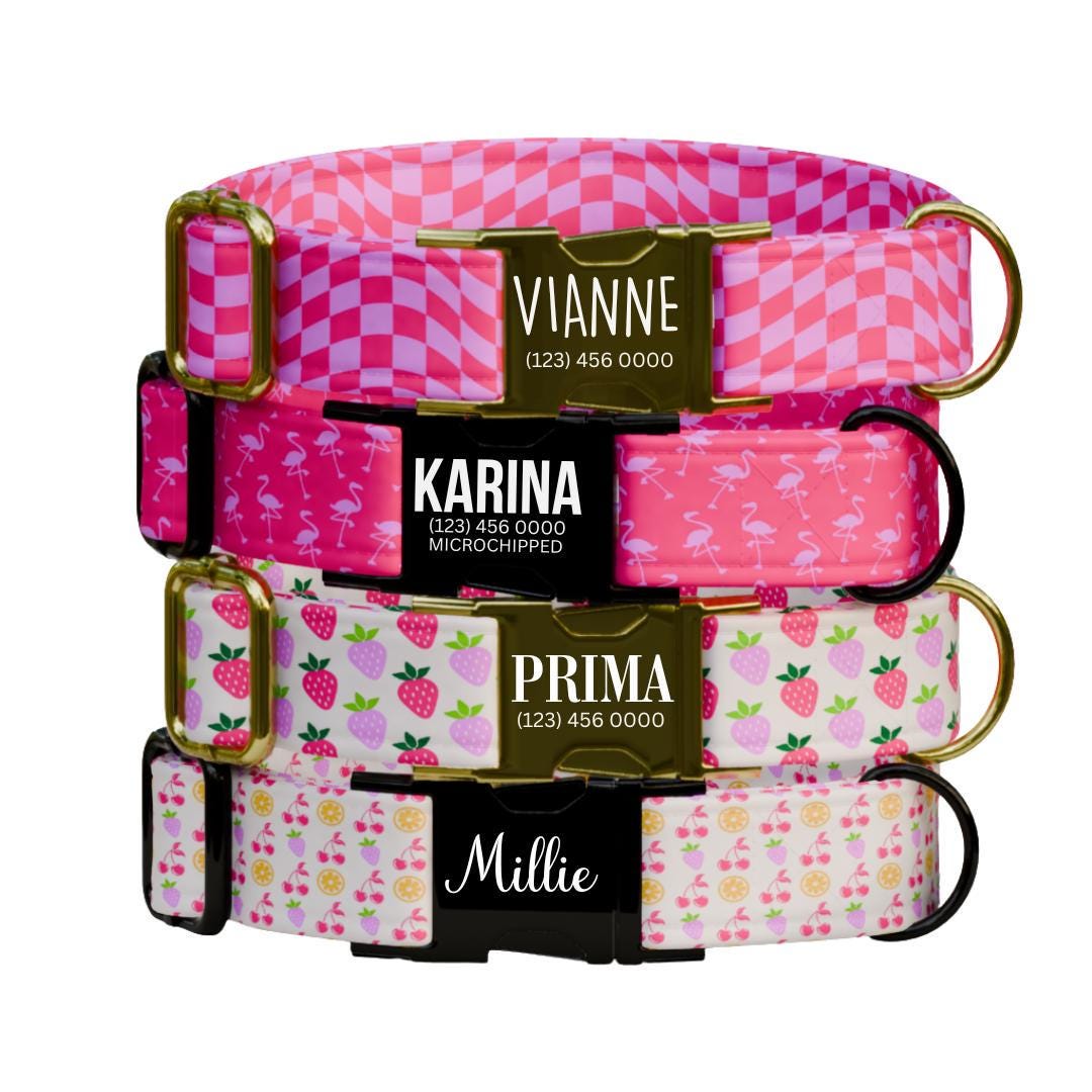 Personalized Pink Pattern Dog Collar for Girls with Name Engraved Cute and Soft Fruit Adjustable Collar & Leash Set Pink Dog Gift (OG-199)
