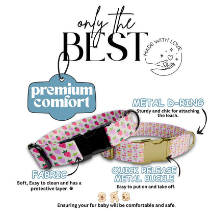 Personalized Pink Pattern Dog Collar for Girls with Name Engraved Cute and Soft Fruit Adjustable Collar & Leash Set Pink Dog Gift (OG-199)
