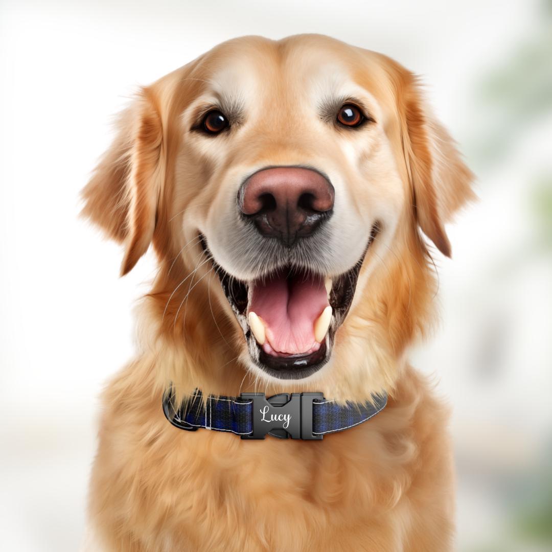 Personalized Blue Plaid Dog Collar with Name Engraved Durable Metal Buckle & D-Ring Cute Tag Classic Plaid Pattern Collar For Dogs (OG-270)