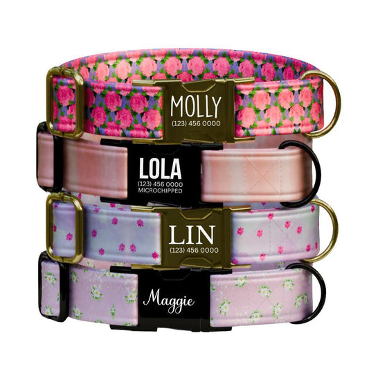 Personalized Floral Dog Collar for Girls with Name Engraved Cute Stylish Flower Print Tag Collar Dogs Adjustable Collar & Leash Set (OG-275)