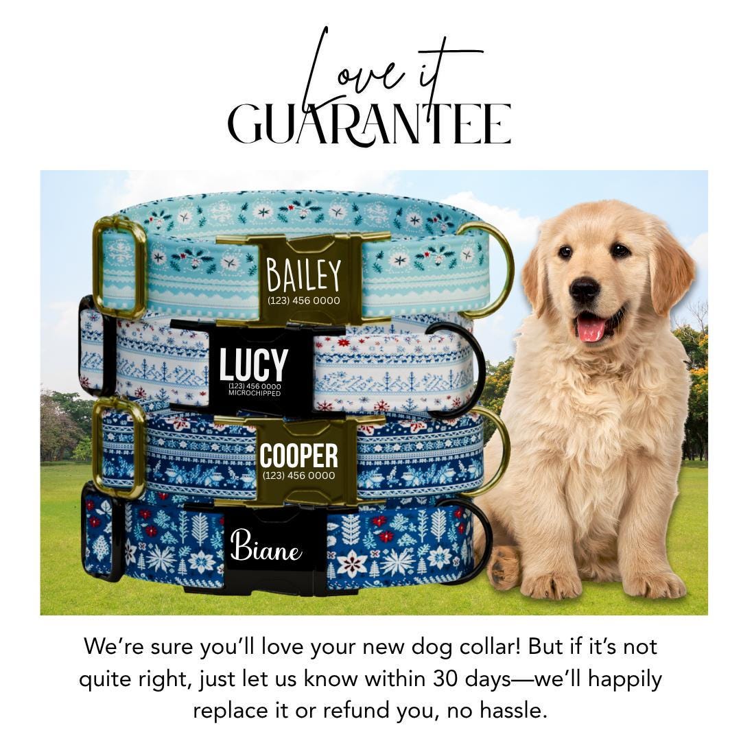 Personalized Ugly Christmas Dog Collar with Name Engraved Custom Winter Tag Adjustable Collar & Leash Set Frosty Flurries Dog Tag (OG-223)