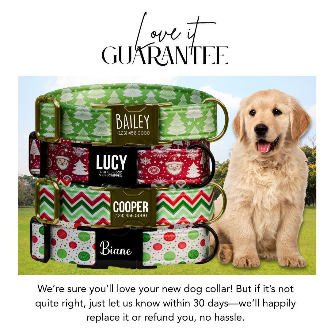 Personalized Christmas Dog Collar Custom Name Tag Festive Holiday Dog Collar with Metal Buckle & Adjustable Fit Christmas Dog Tag (OG-282)