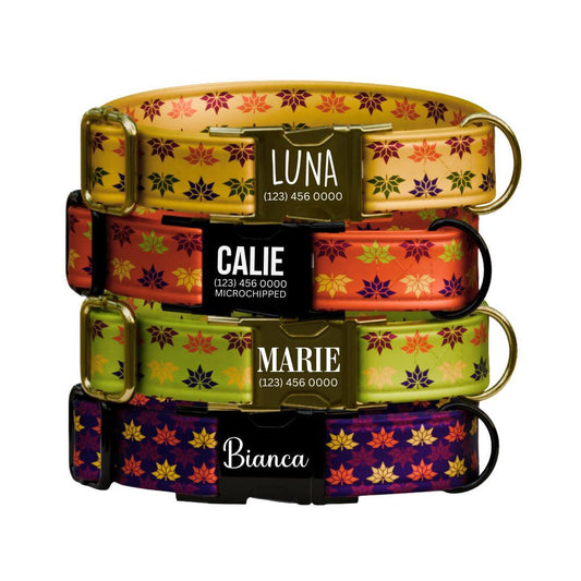 Personalized Autumn Bloom Dog Collar for Girls with Name Engraved Cozy Floral Dog Tag Adjustable Collar & Leash Set Gift for Dog (OG-277)