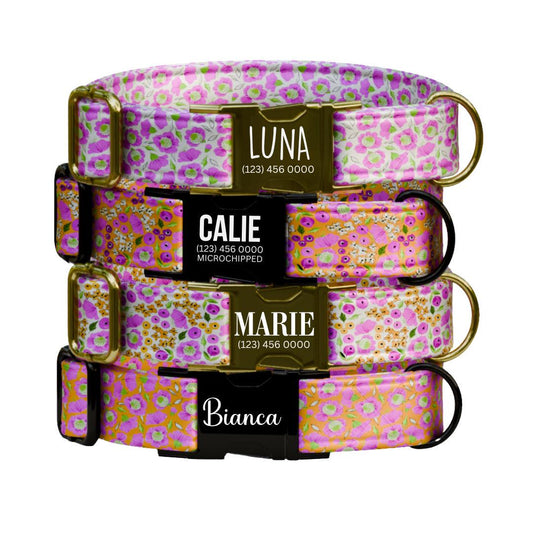Personalized Floral Dog Collar for Girls with Name Engraved Cute Bright Flower Name ID Adjustable Collar & Leash Set Gift for Dog (OG-251)