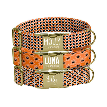 Personalized Spooky-cute Halloween Dog Collar with Name Engraved Cute and Soft Adjustable Collar & Leash Set, Pet ID Tag Dog Gift (OG-134)