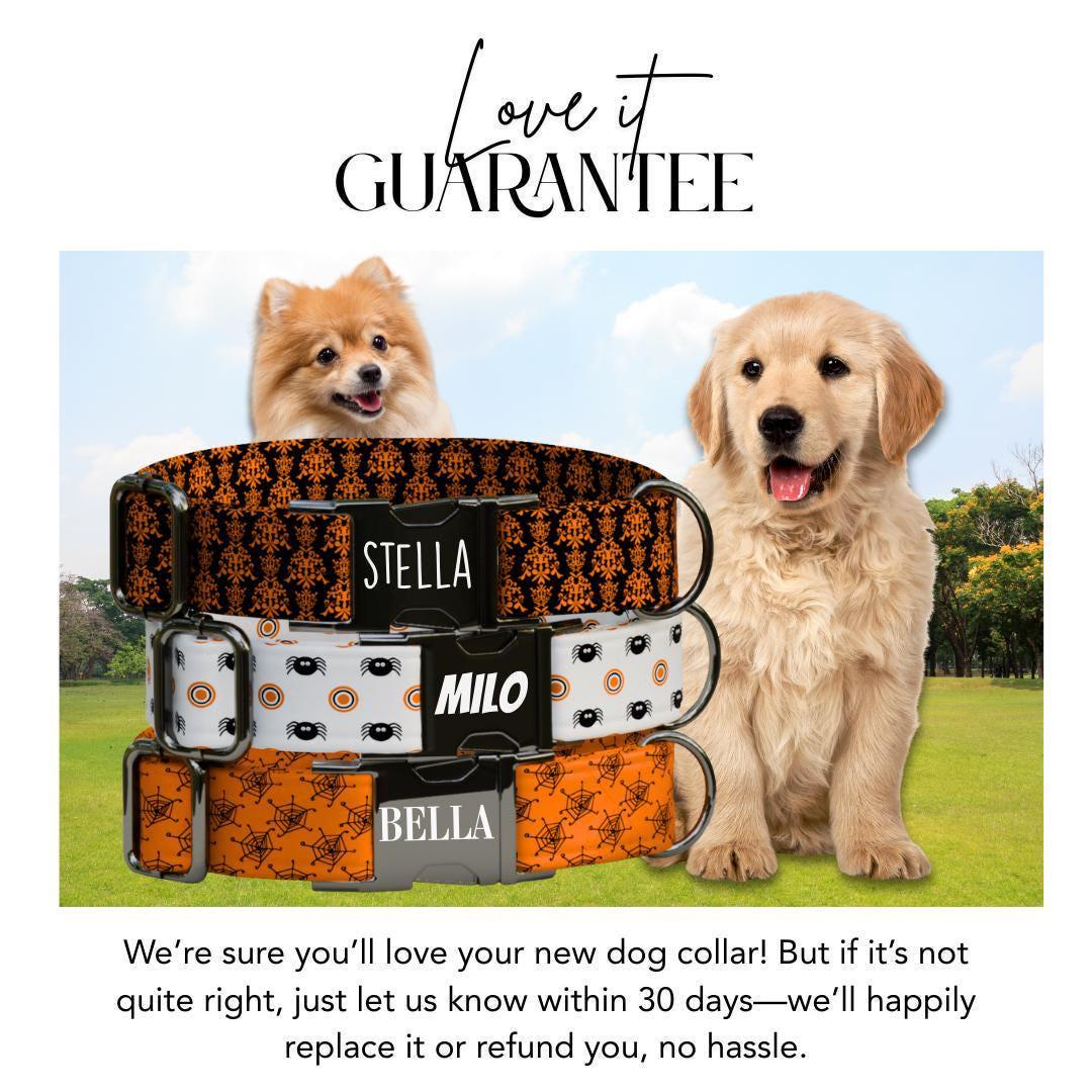 Personalized Spooky-cute Halloween Dog Collar with Name Engraved Cute and Soft Adjustable Collar & Leash Set, Pet ID Tag Dog Gift (OG-136)