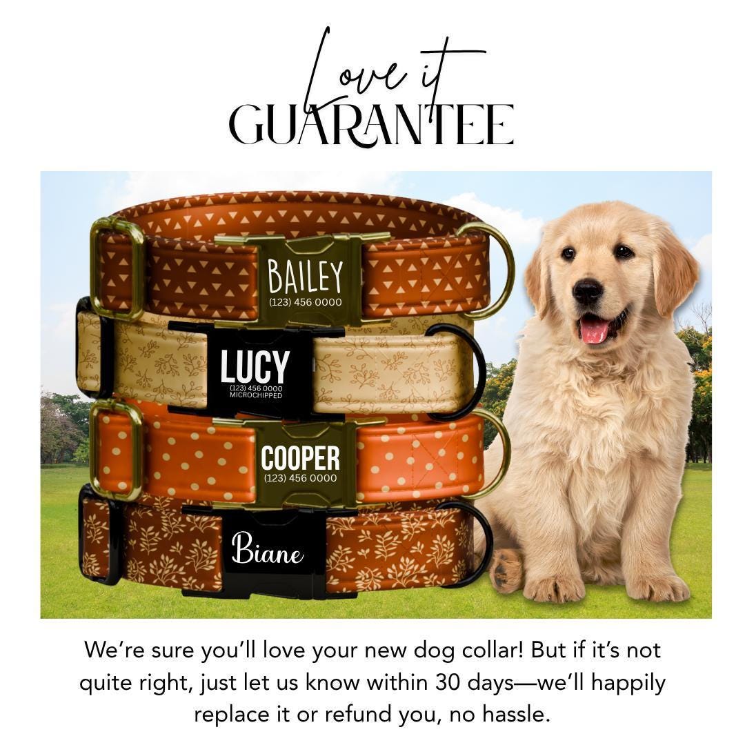 Personalized Fall Dog Collar Custom Name Tag Autumn Pattern Dog Collar with Metal Buckle & Adjustable Fit Cute Fall Autumn Dog Tag (OG-241)