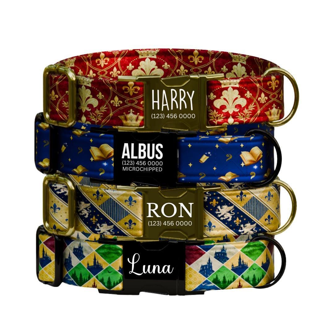 Personalized Magical Kingdom Dog Collar with Name Engraved Custom Name Tag Fantasy Royal Themed Dog Collar Cute Gift for Dog Lovers (OG-267)