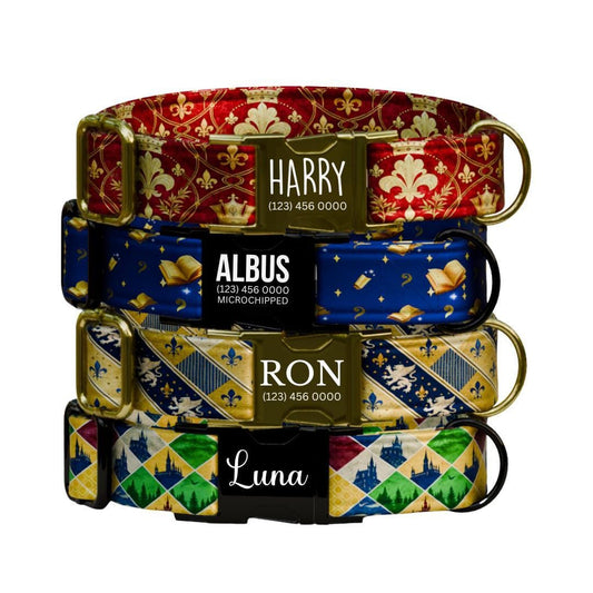 Personalized Magical Kingdom Dog Collar with Name Engraved Custom Name Tag Fantasy Royal Themed Dog Collar Cute Gift for Dog Lovers (OG-267)