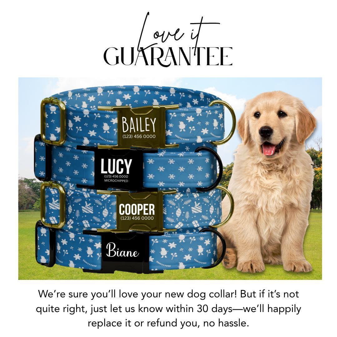 Personalized Christmas Dog Collar with Name Engraved Custom Name Tag Adjustable Collar & Leash Set Blue Winter Snow Dog Leash Gift (OG-227)