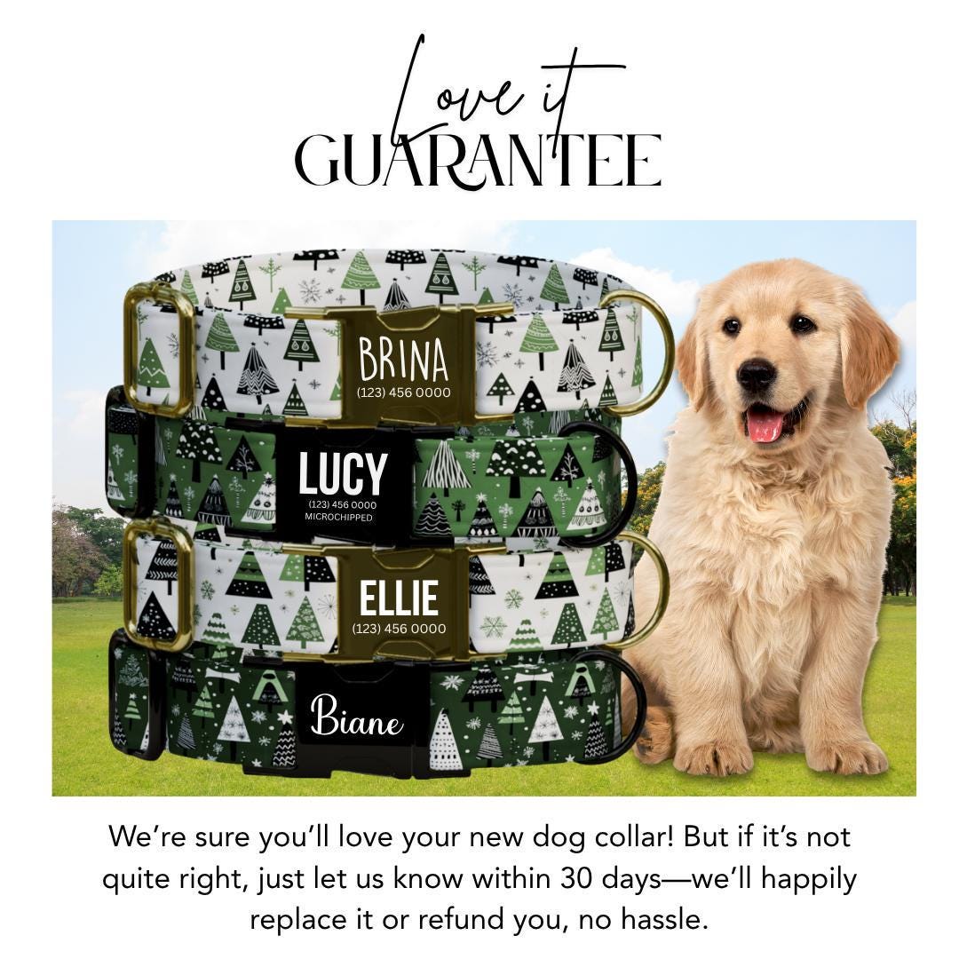 Personalized Christmas Dog Collar with Name Engraved Custom Name Tag Adjustable Collar & Leash Set Festive Tree Collar Gift for Dog (OG-228)