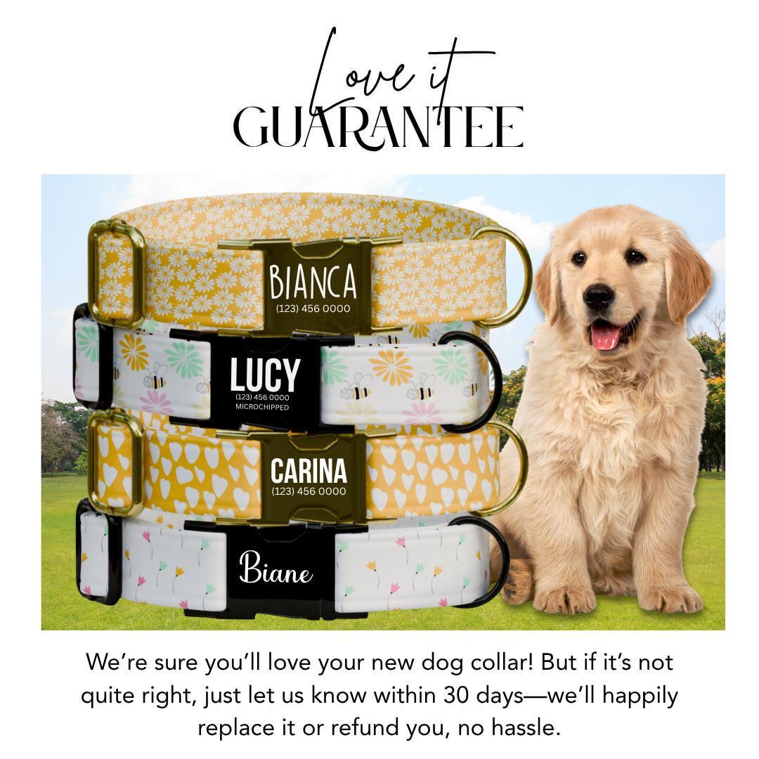 Personalized Dog Collar Dainty Daisies Design with Name Engraved Custom Name Tag Daisy Adjustable Collar & Leash Set Gift for Dog (OG-219)