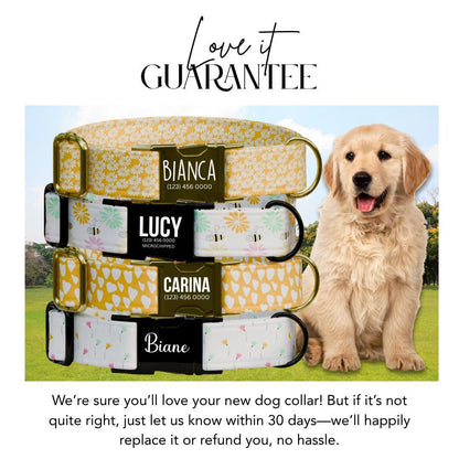 Personalized Dog Collar Dainty Daisies Design with Name Engraved Custom Name Tag Daisy Adjustable Collar & Leash Set Gift for Dog (OG-219)