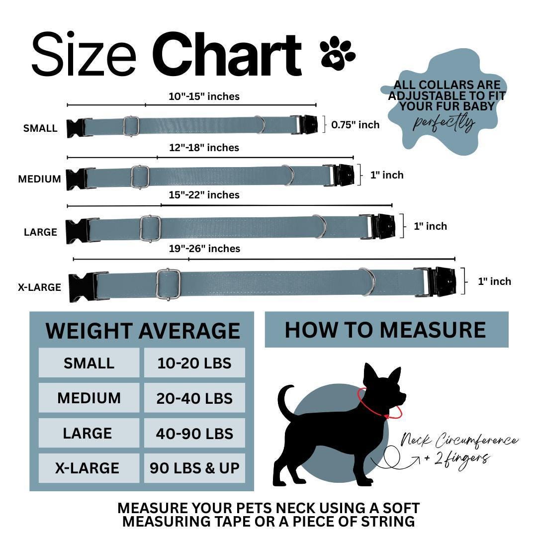 Personalized Dog Collar Busy Bees Design with Name Engraved Custom Name Tag Bees Dog Tag Adjustable Collar & Leash Set Gift for Dog (OG-217)