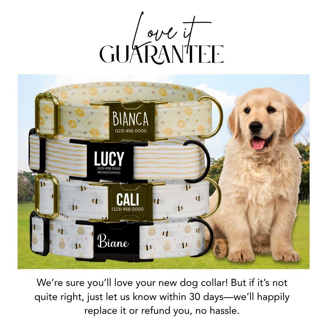 Personalized Dog Collar Busy Bees Design with Name Engraved Custom Name Tag Bees Dog Tag Adjustable Collar & Leash Set Gift for Dog (OG-217)